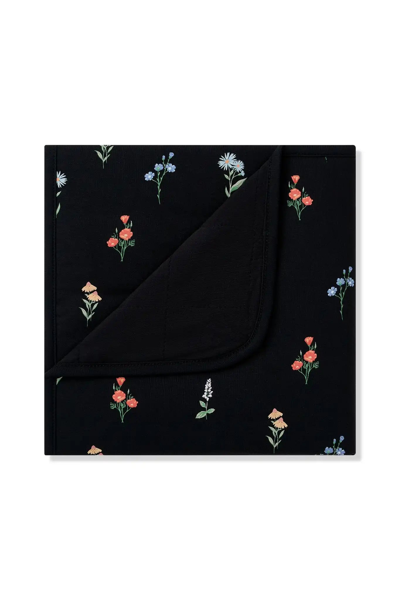 kytebabysacks.us.com