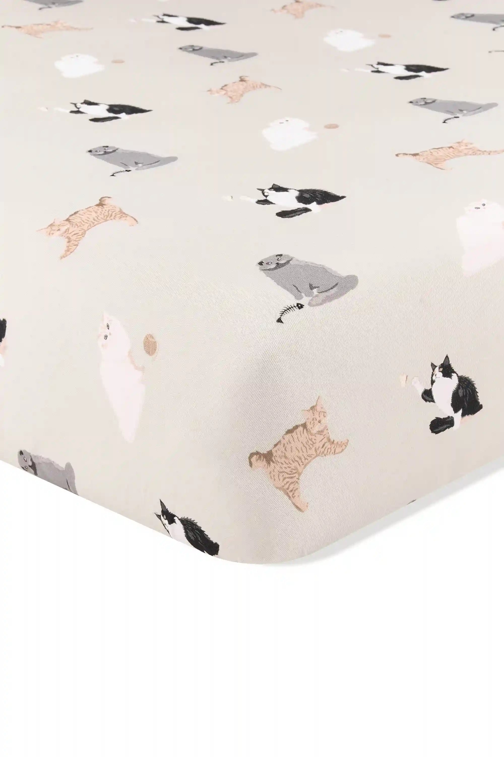 kytebabysacks.us.com