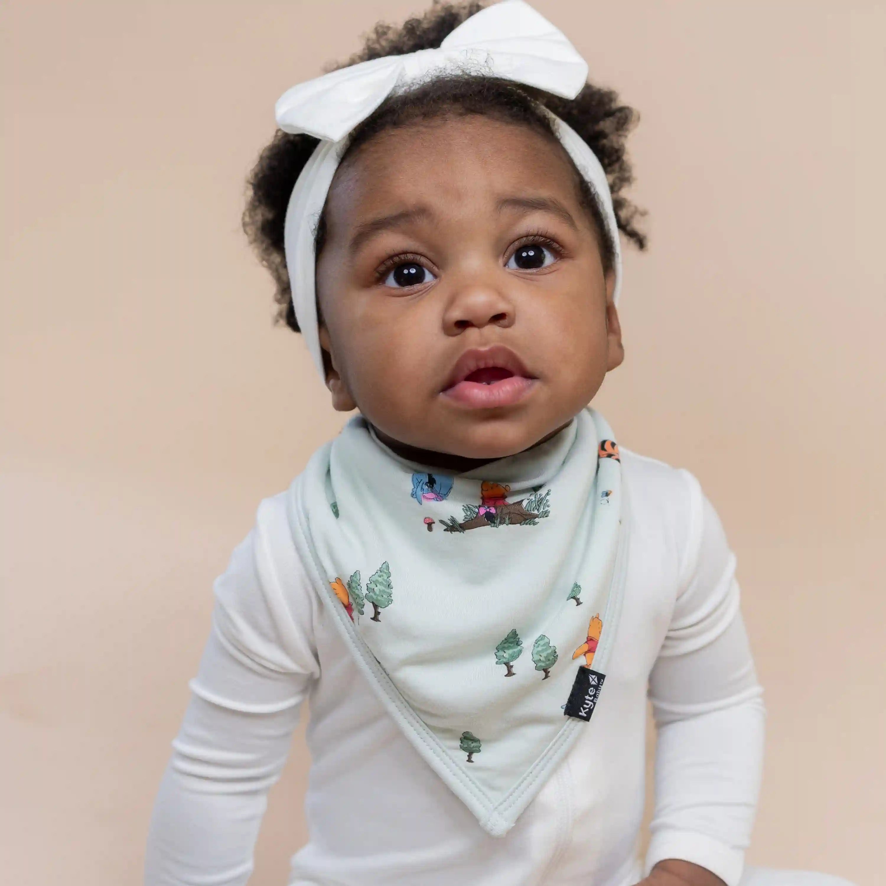 kytebabysacks.us.com