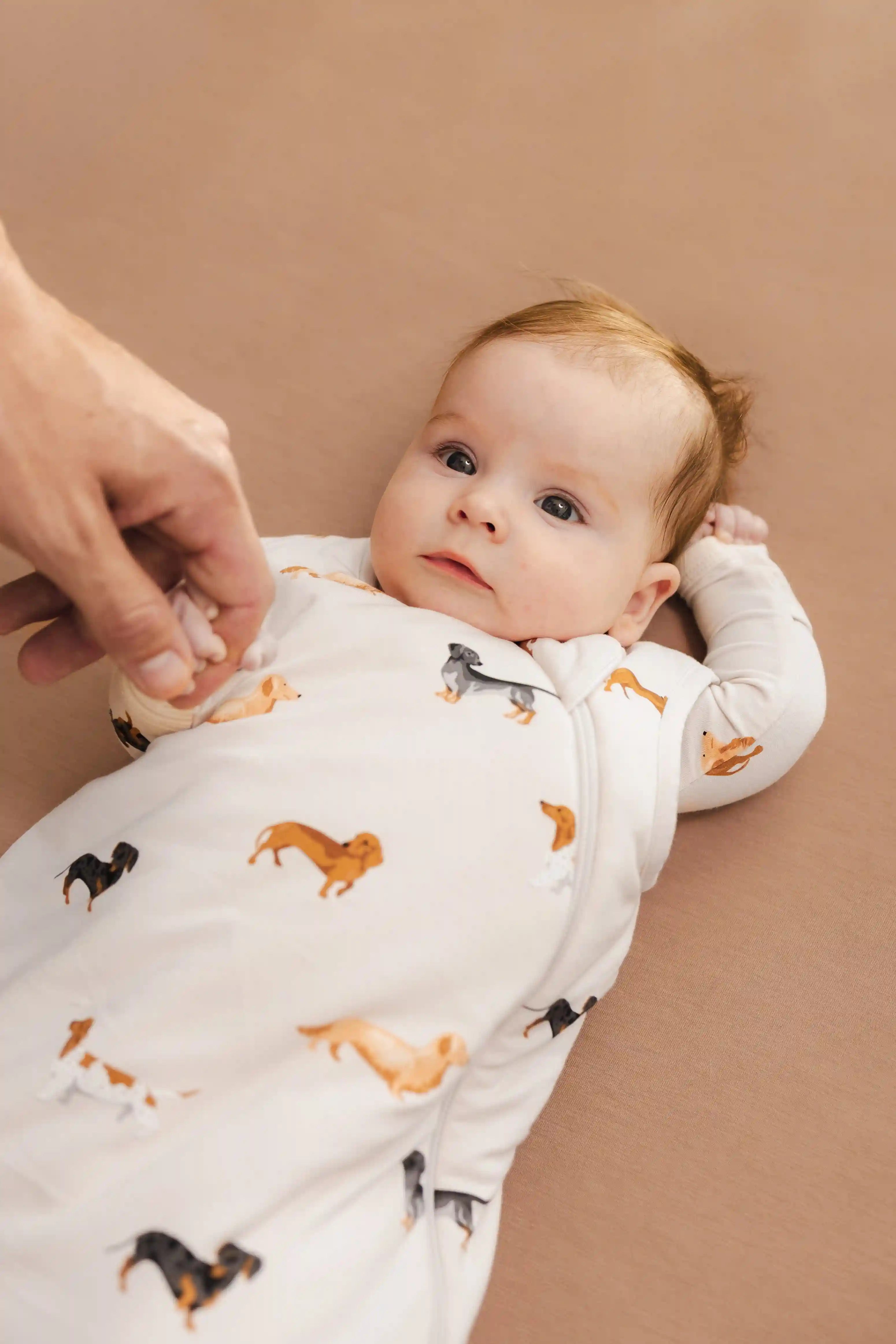 kytebabysacks.us.com
