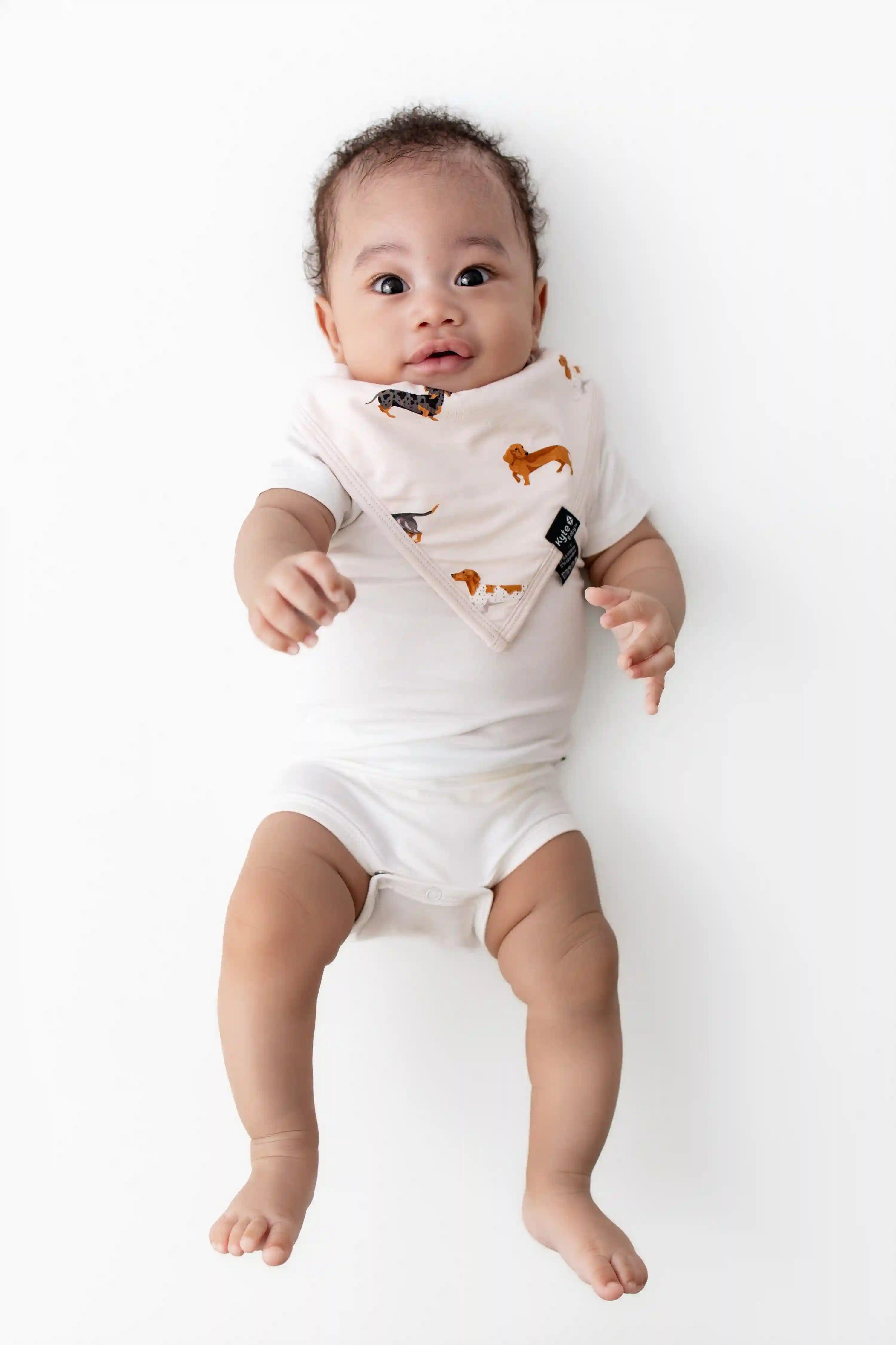 kytebabysacks.us.com