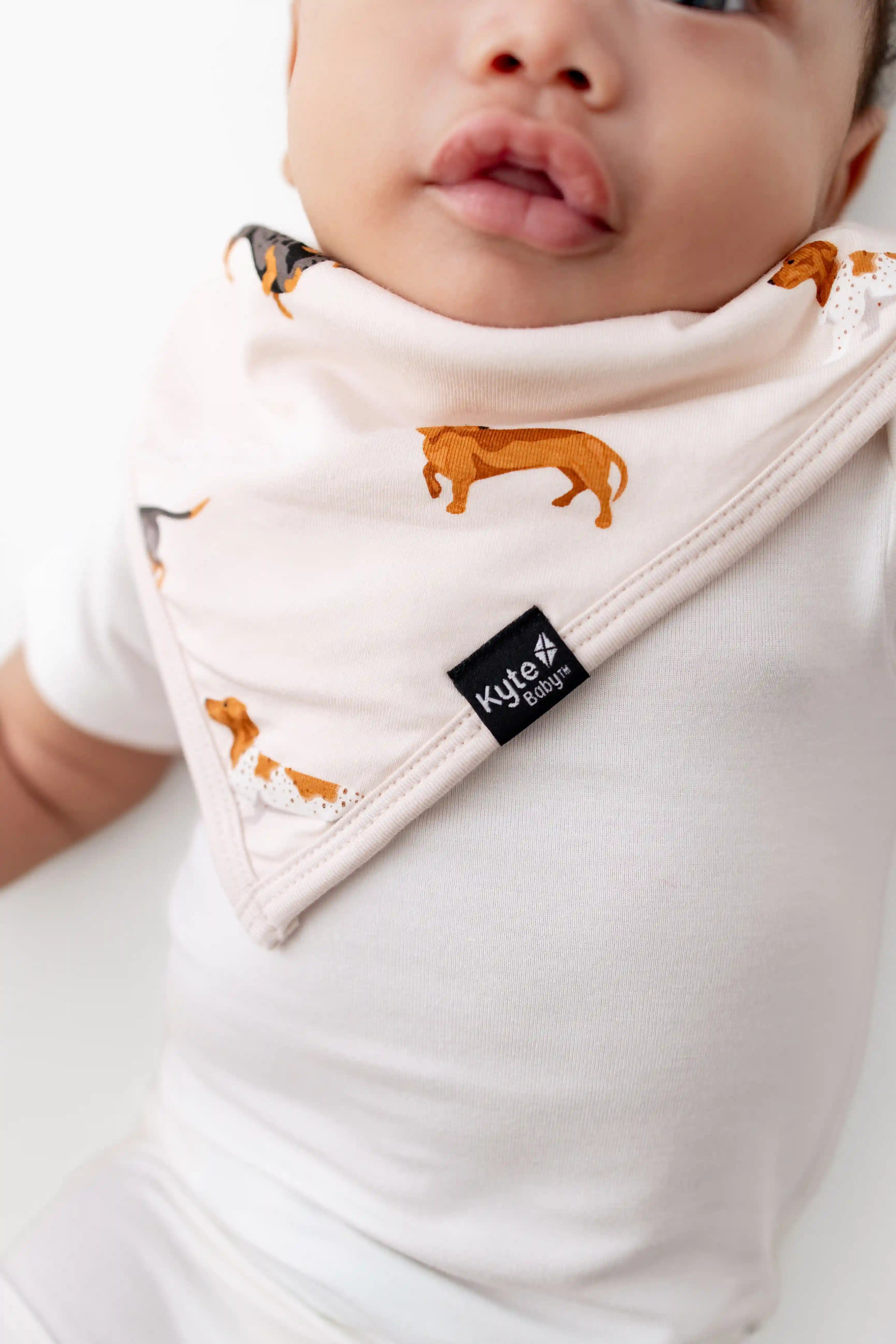 kytebabysacks.us.com