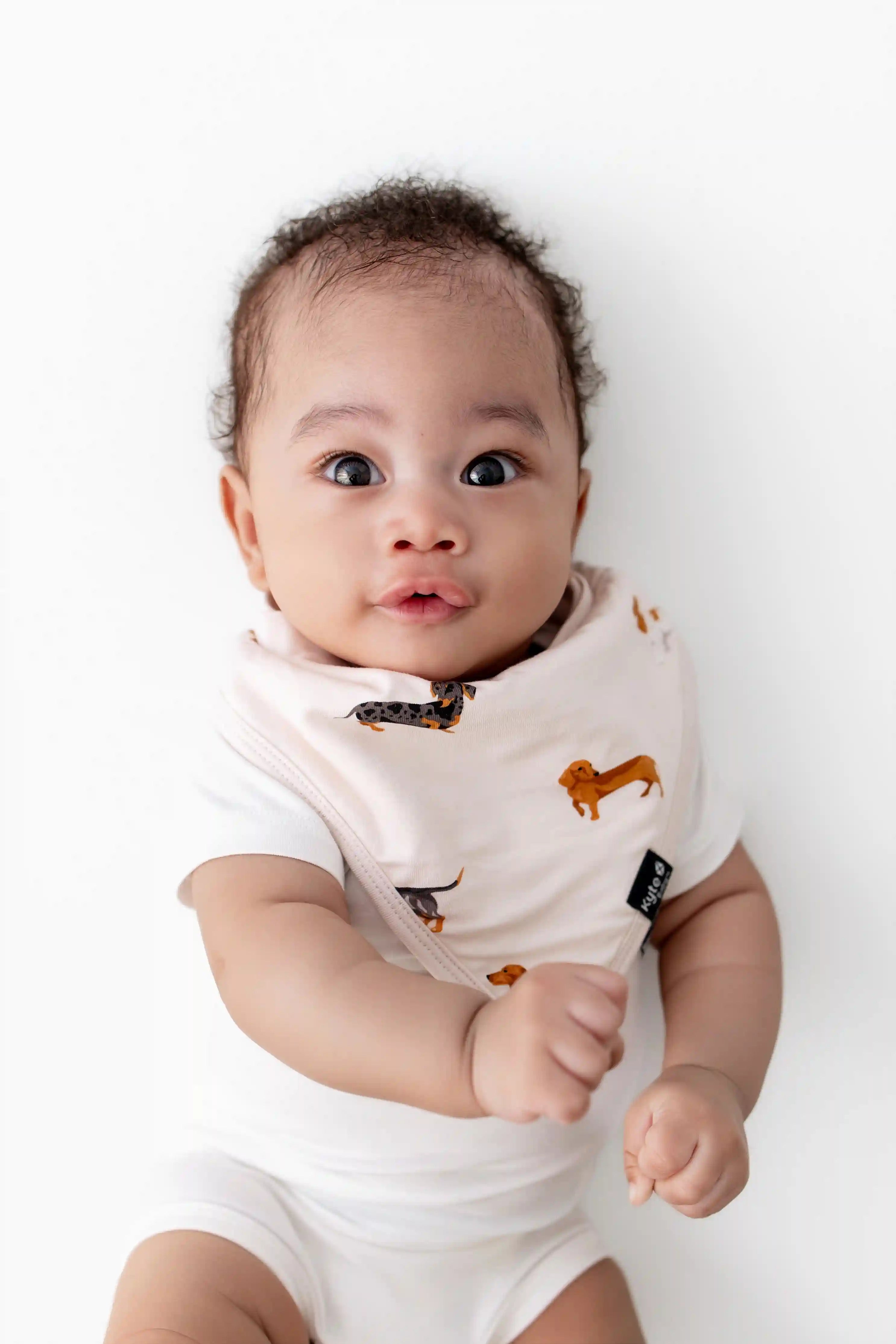 kytebabysacks.us.com