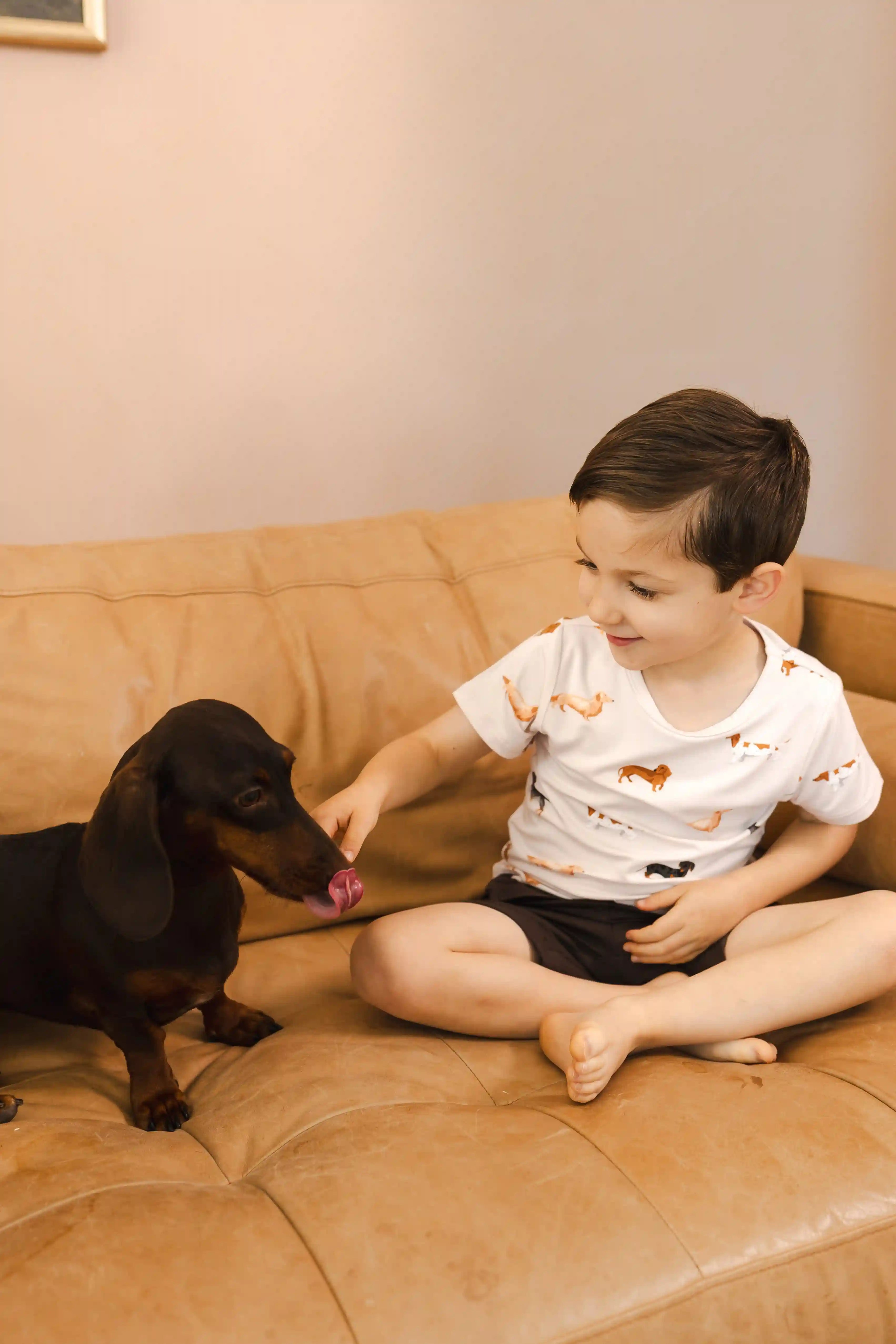 kytebabysacks.us.com