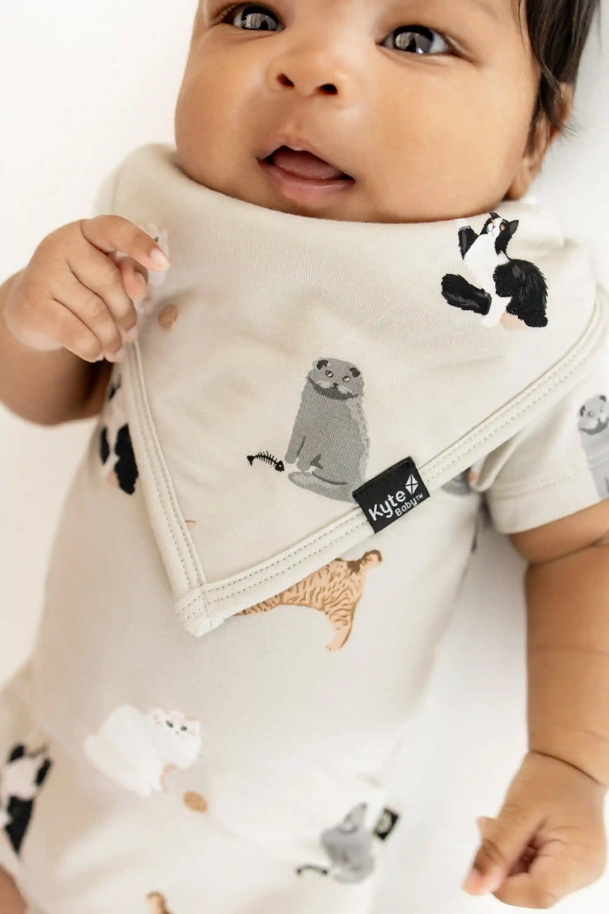 kytebabysacks.us.com