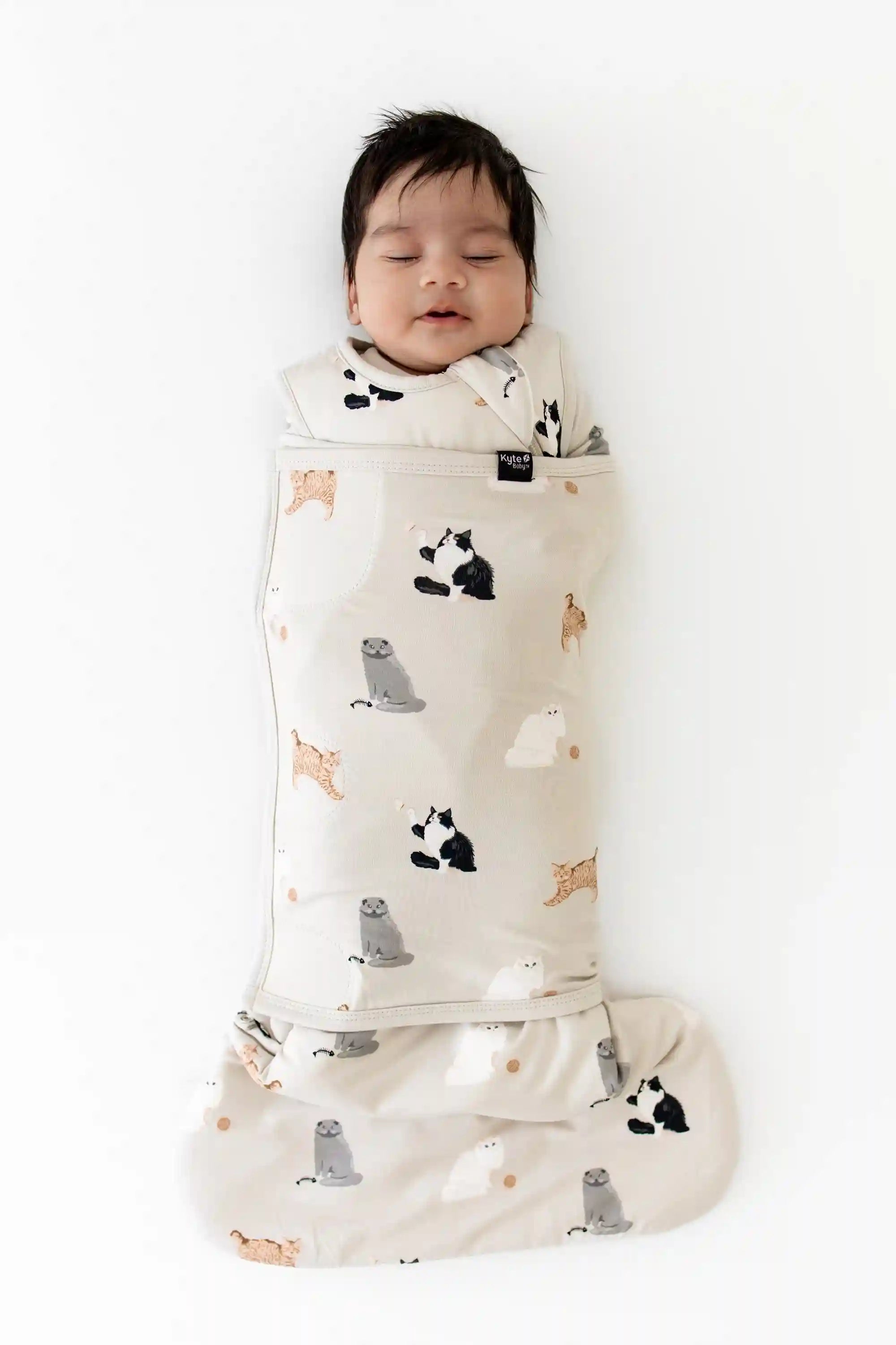 kytebabysacks.us.com