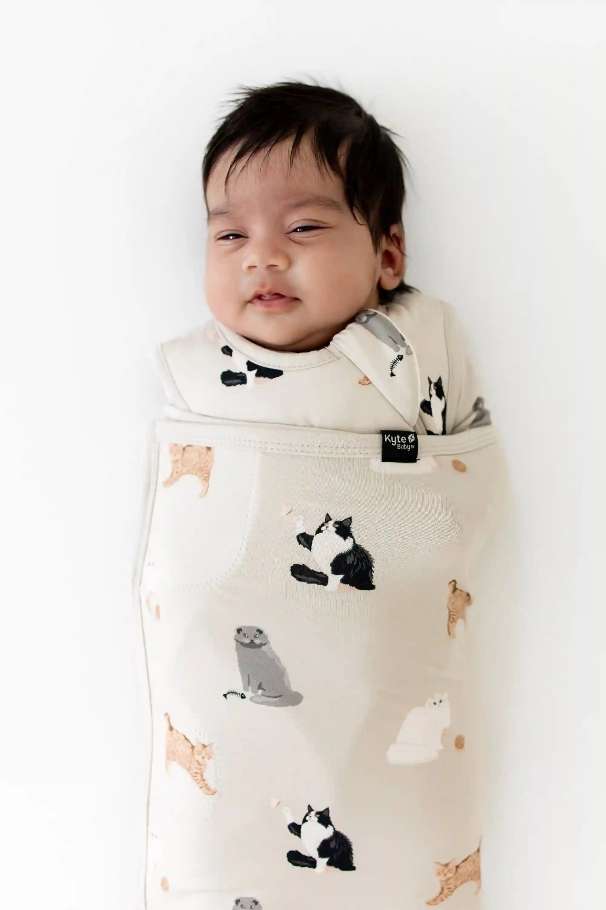 kytebabysacks.us.com