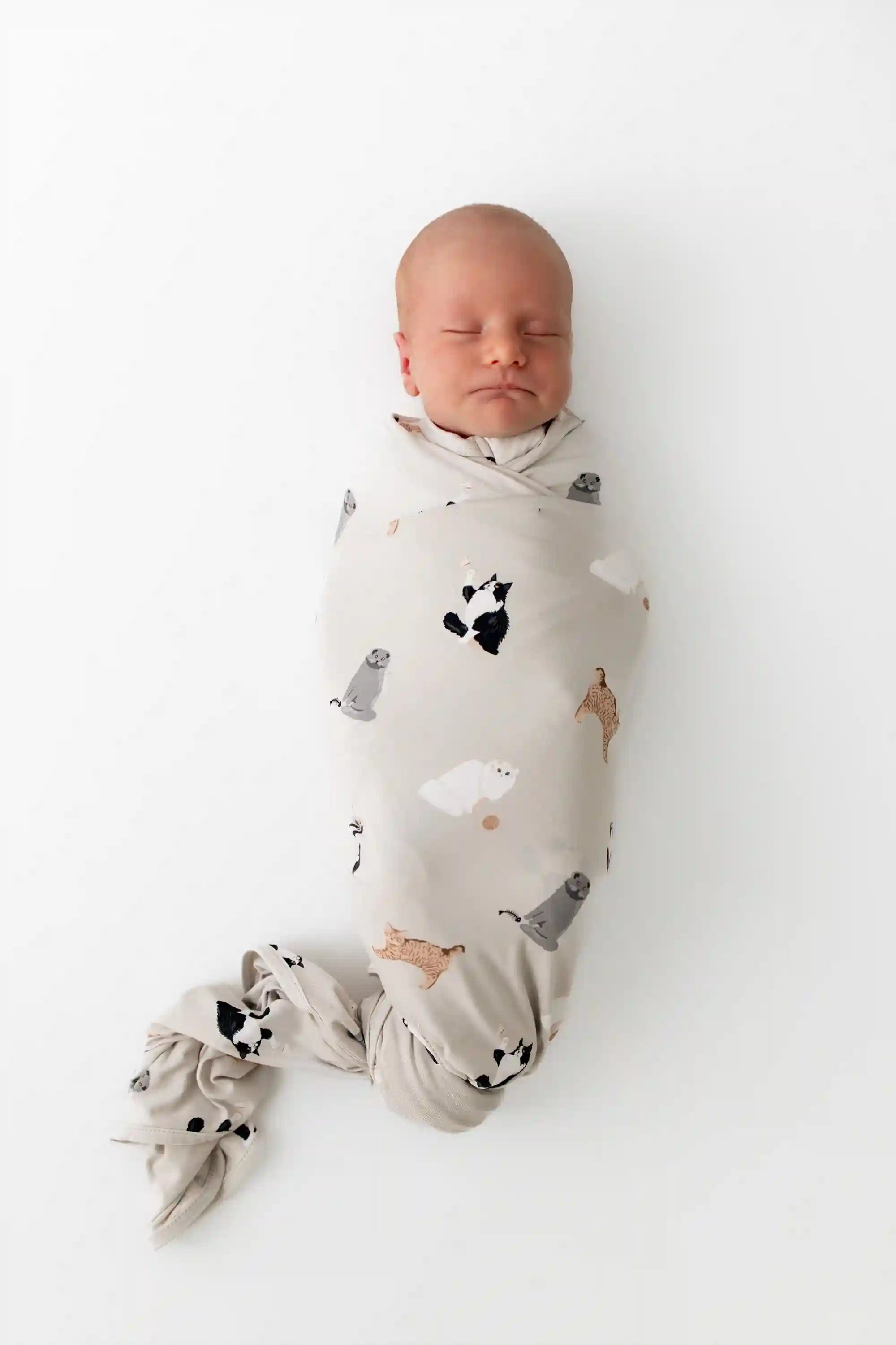 kytebabysacks.us.com