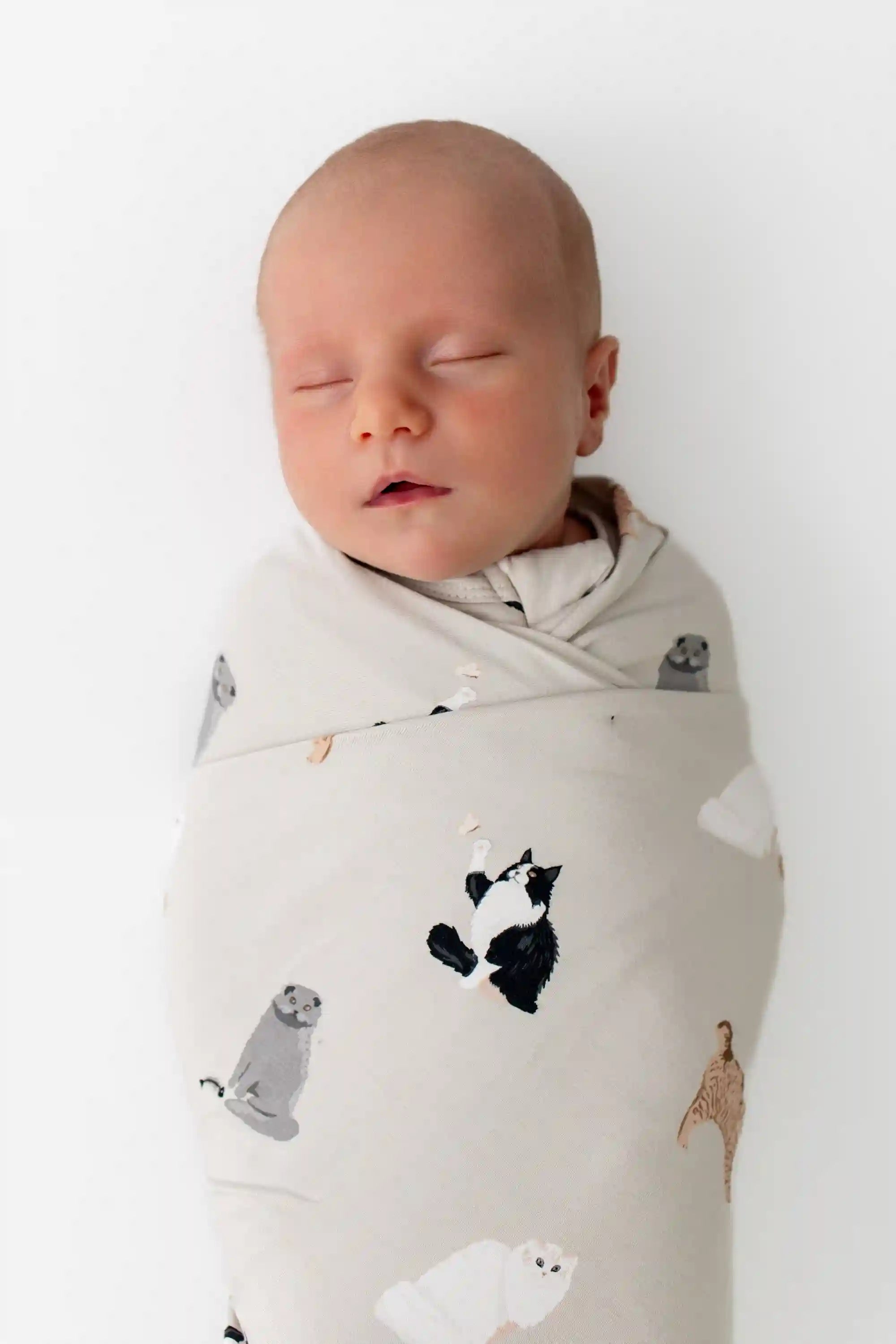 kytebabysacks.us.com