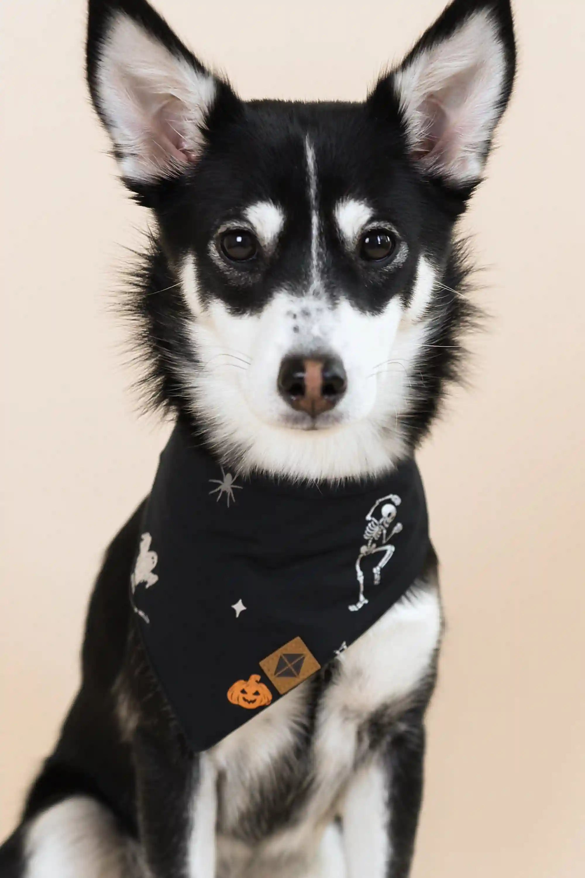 kytebabysacks.us.com