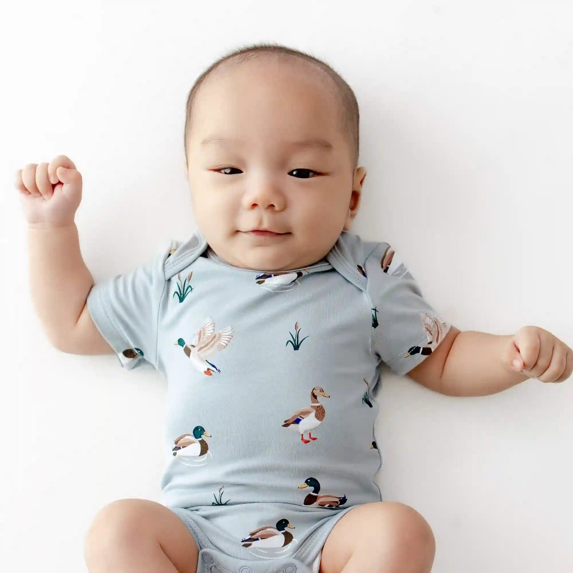 kytebabysacks.us.com