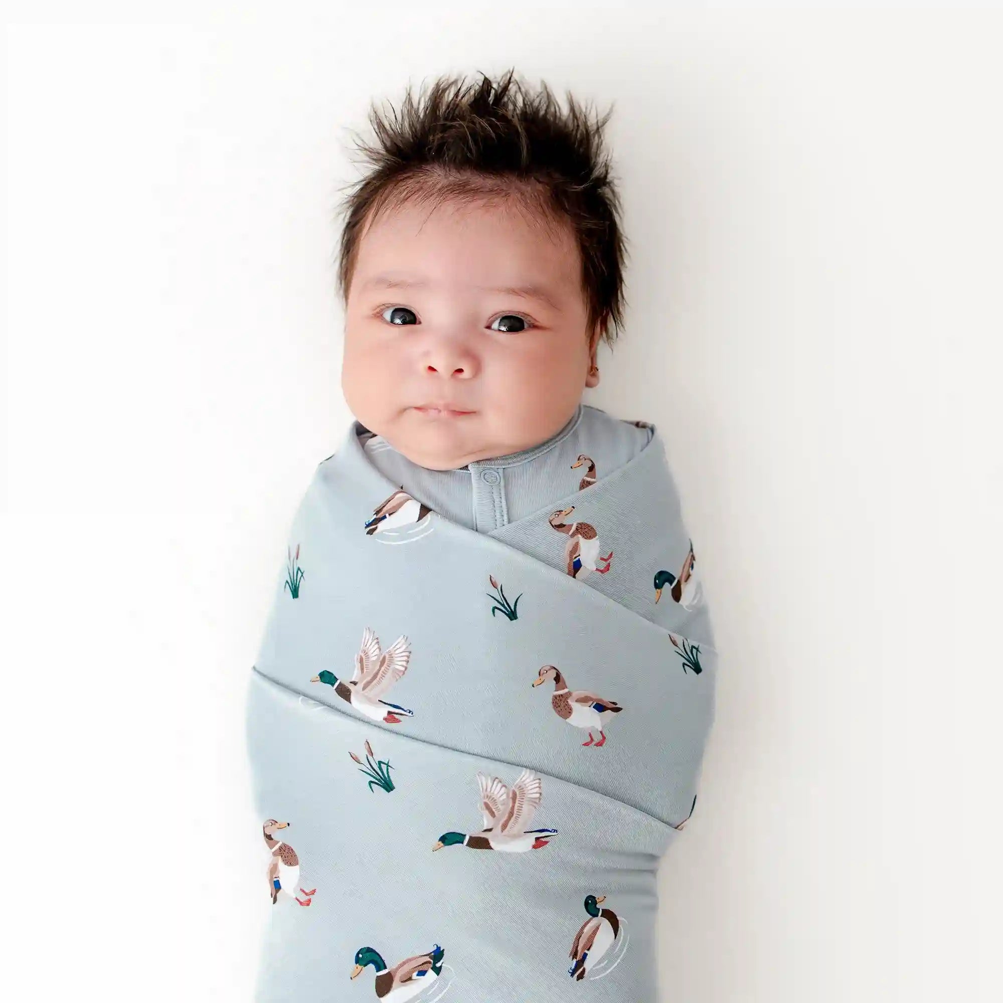 kytebabysacks.us.com