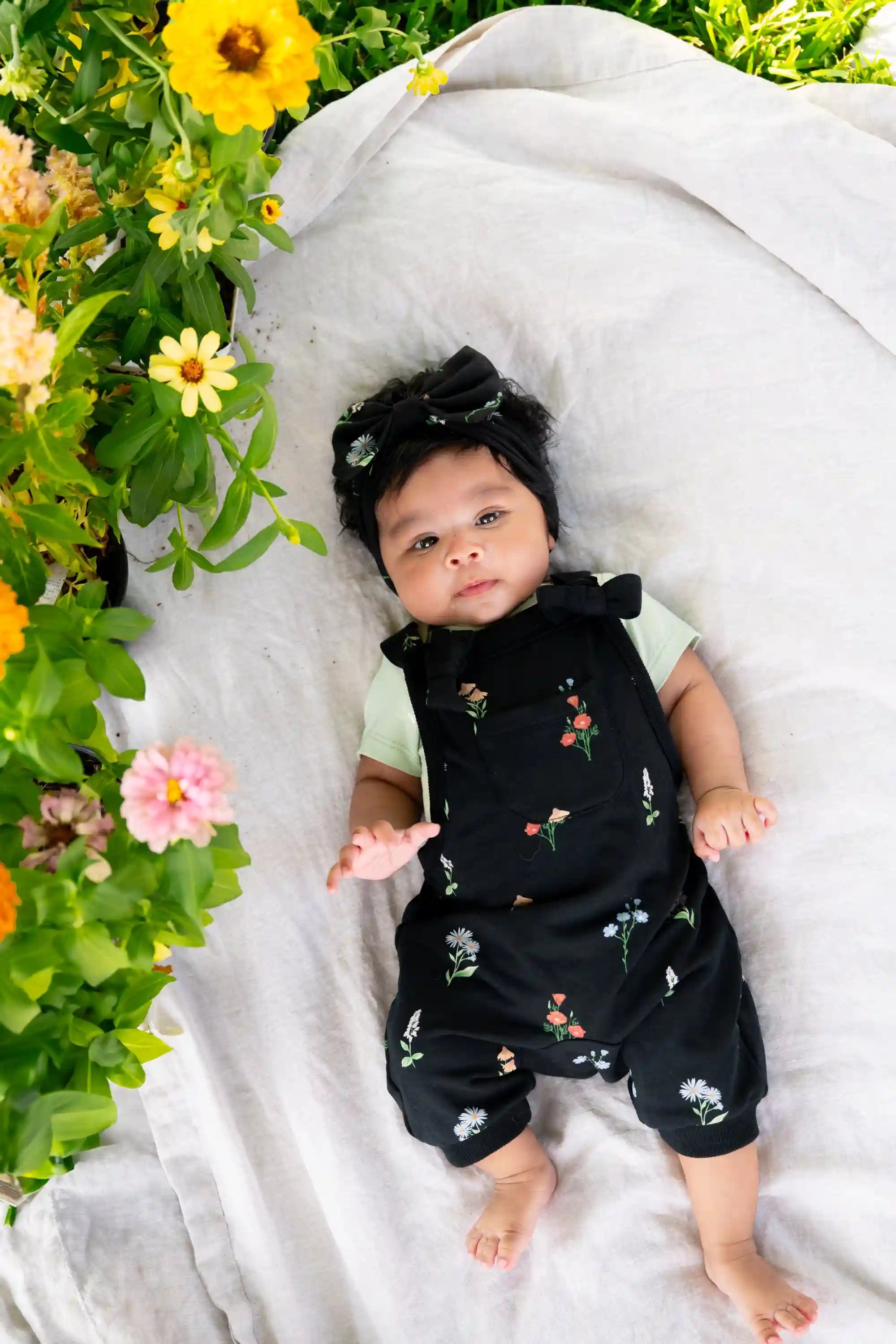 kytebabysacks.us.com