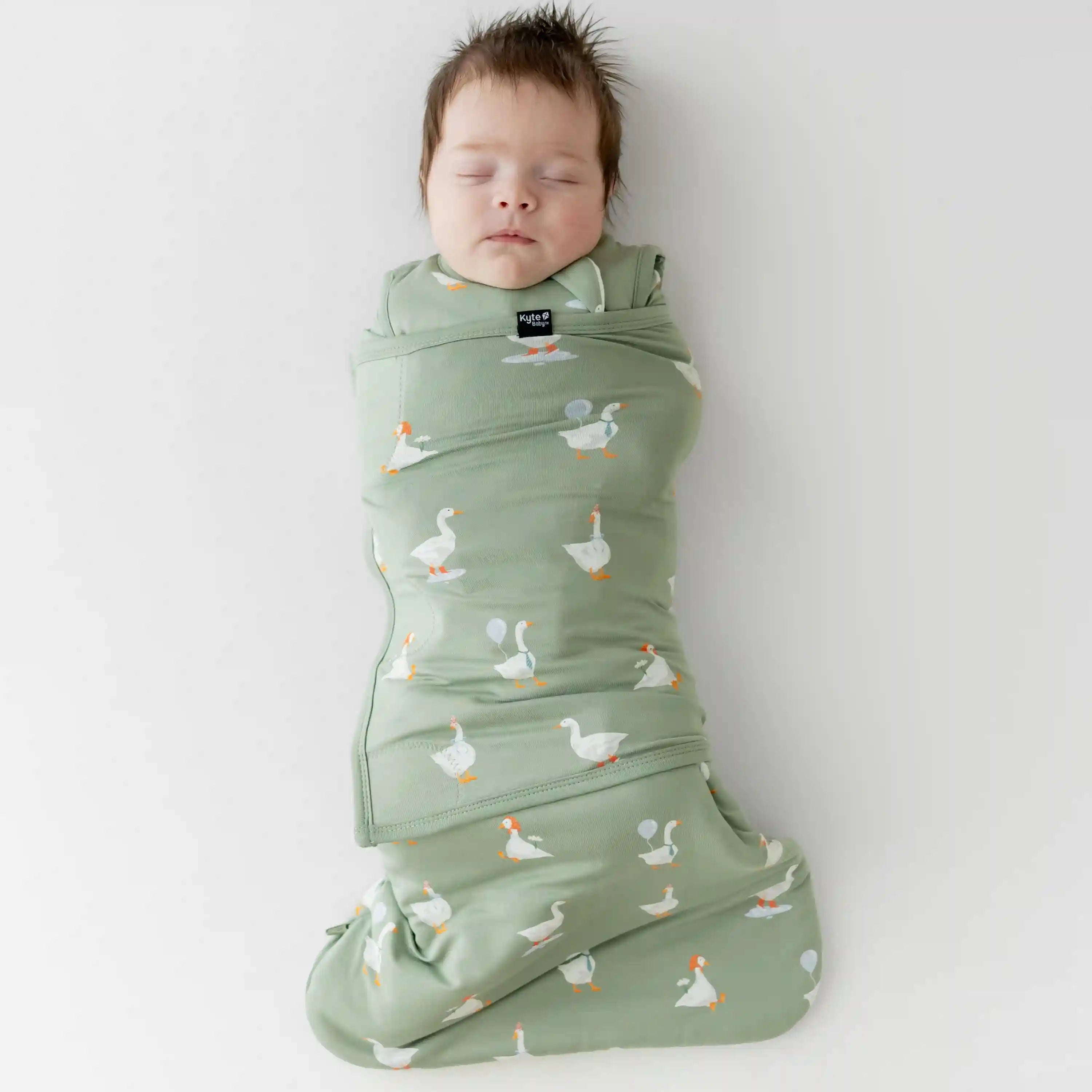 kytebabysacks.us.com