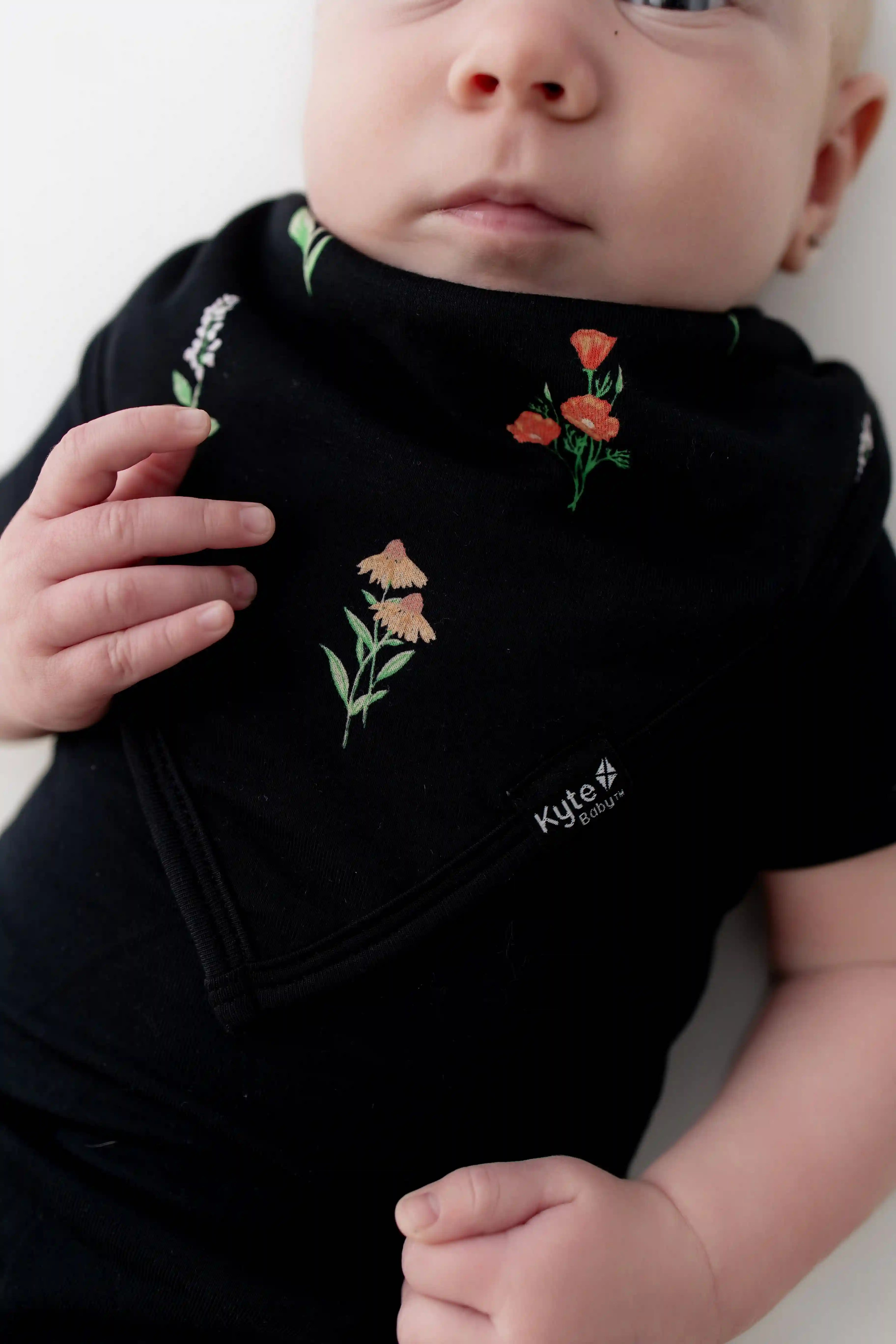 kytebabysacks.us.com