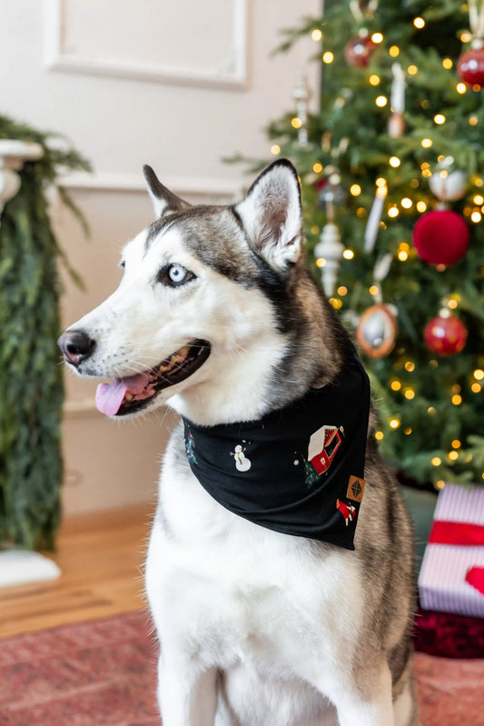 Dog Bandana in Winter Wonderland