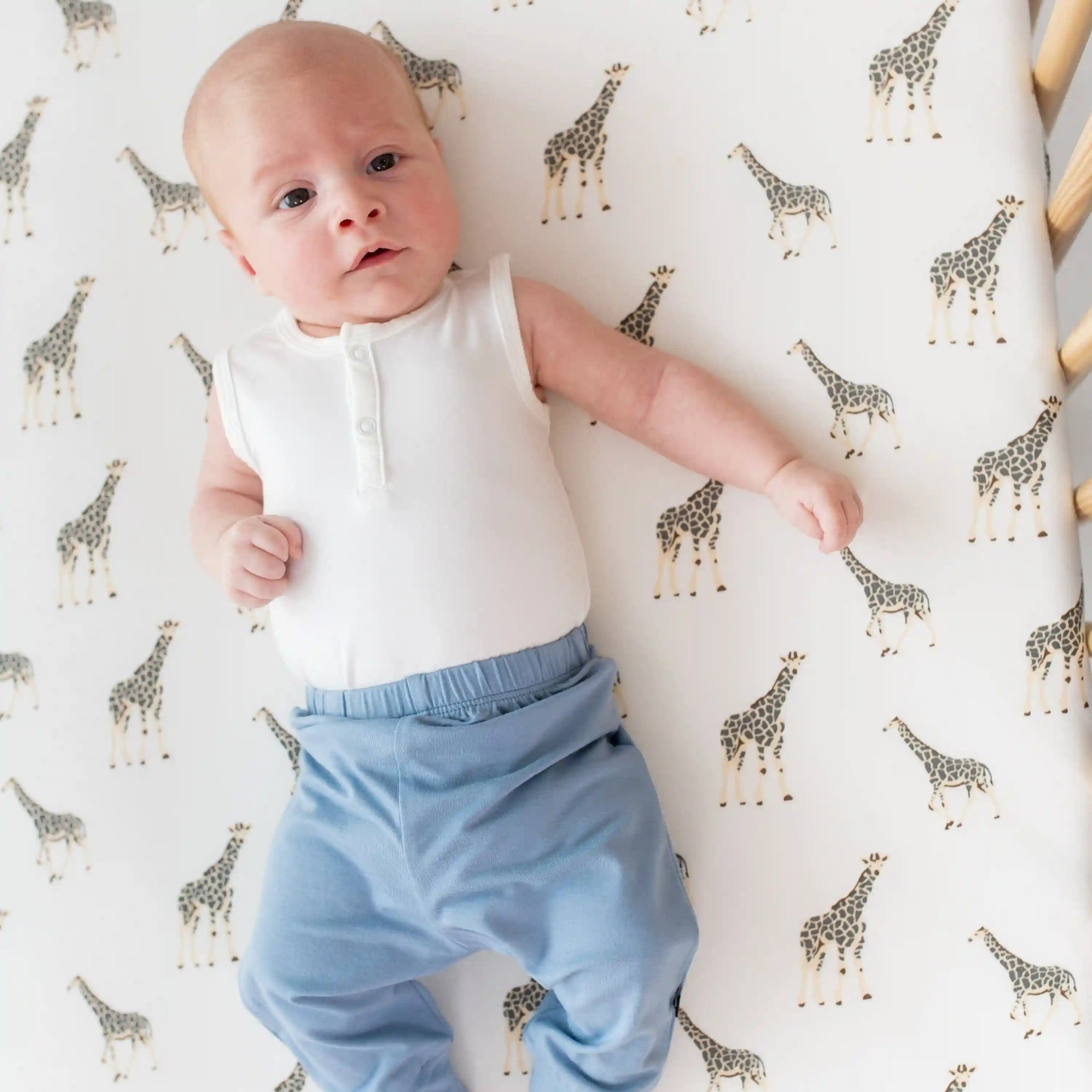 kytebabysacks.us.com
