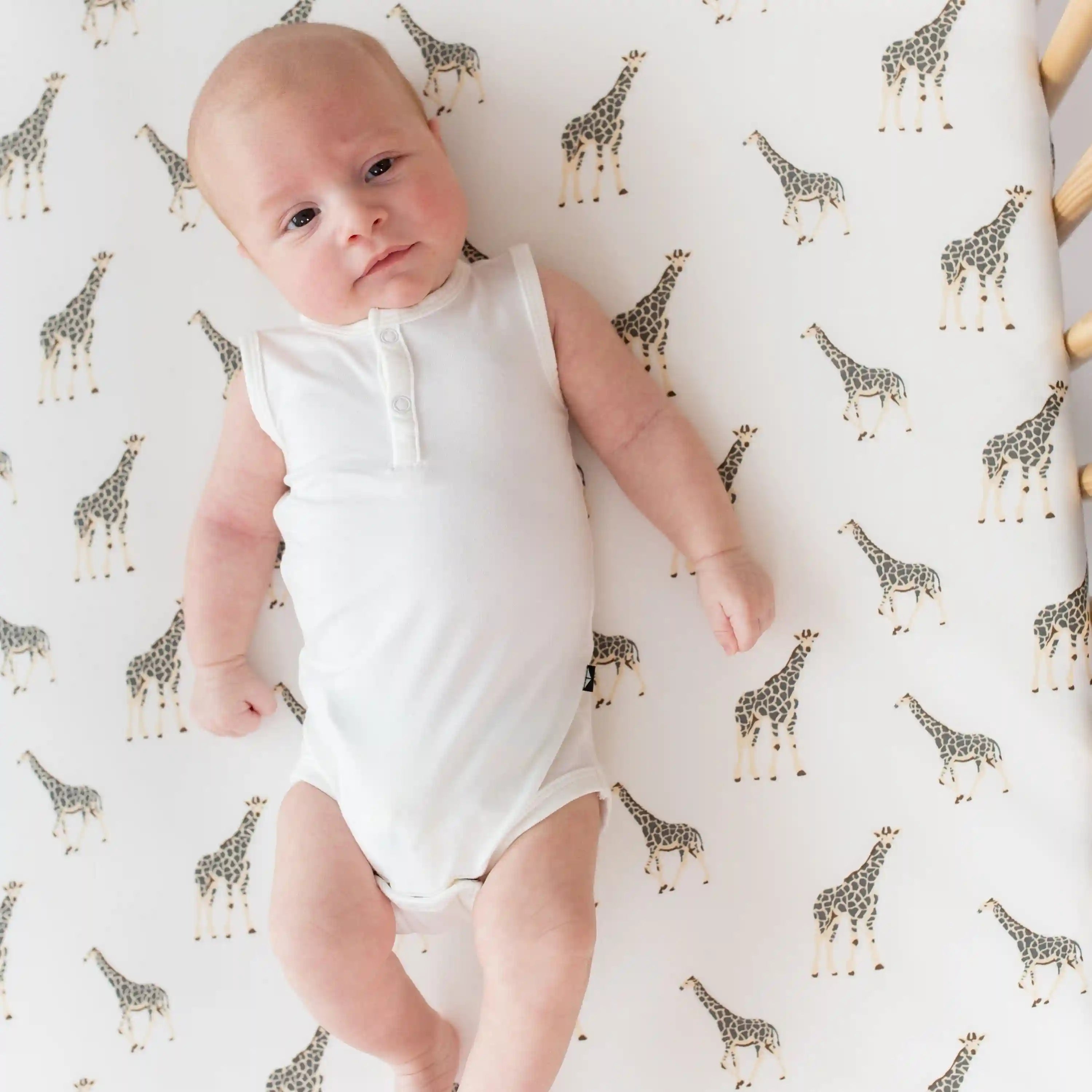 kytebabysacks.us.com